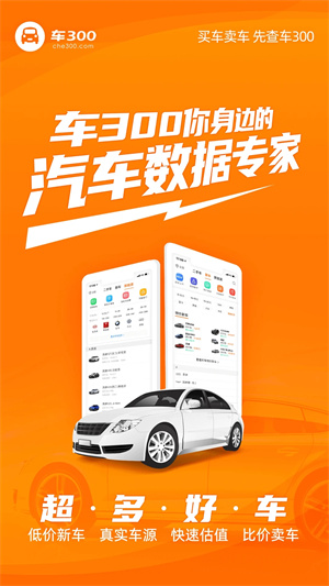 车300二手车 截图2